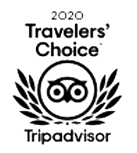 2020 Trip Advisor Certificate of Exxellence